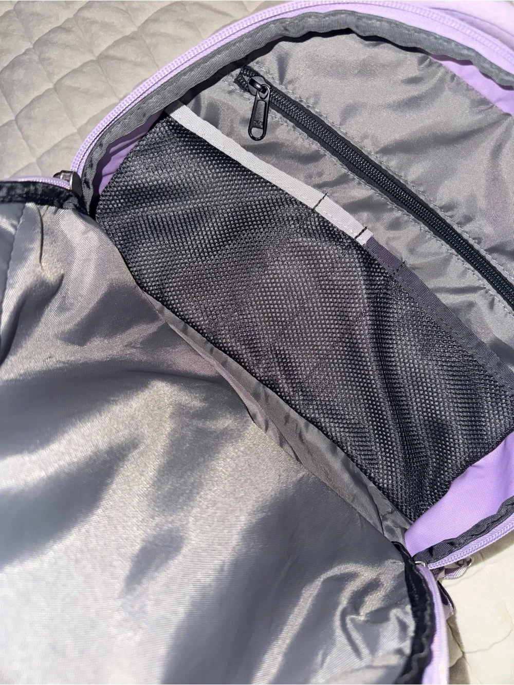The North Face Jester Backpack in Lavender